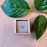 ONE PIECE ØRESTIK 7 FORSKELLIGE VARIANTER I GULD
Søde små one piece ørestikker i 7 forskellige varianter fra Friihof+Siig. De er belagt med 16 karat guld. Du vælger det ønskede varianter i menuen.
Ørestik
One piece
Belagt med 16 karat guld
Materiale: Messing belagt med 16 karat guld.
Mærke: Friihof+Siig