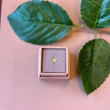 ONE PIECE ØRESTIK 7 FORSKELLIGE VARIANTER I GULD
Søde små one piece ørestikker i 7 forskellige varianter fra Friihof+Siig. De er belagt med 16 karat guld. Du vælger det ønskede varianter i menuen.
Ørestik
One piece
Belagt med 16 karat guld
Materiale: Messing belagt med 16 karat guld.
Mærke: Friihof+Siig