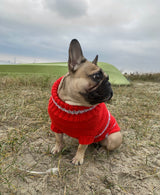 Strikketrøje til fransk bulldog