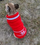 Strikkeopskrift til fransk bulldog