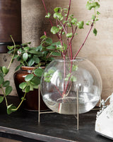 Glasvase med vand og planter i