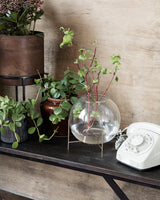 Glasvase med vand og planter i stående på bænk sammen med andre potteskjulere